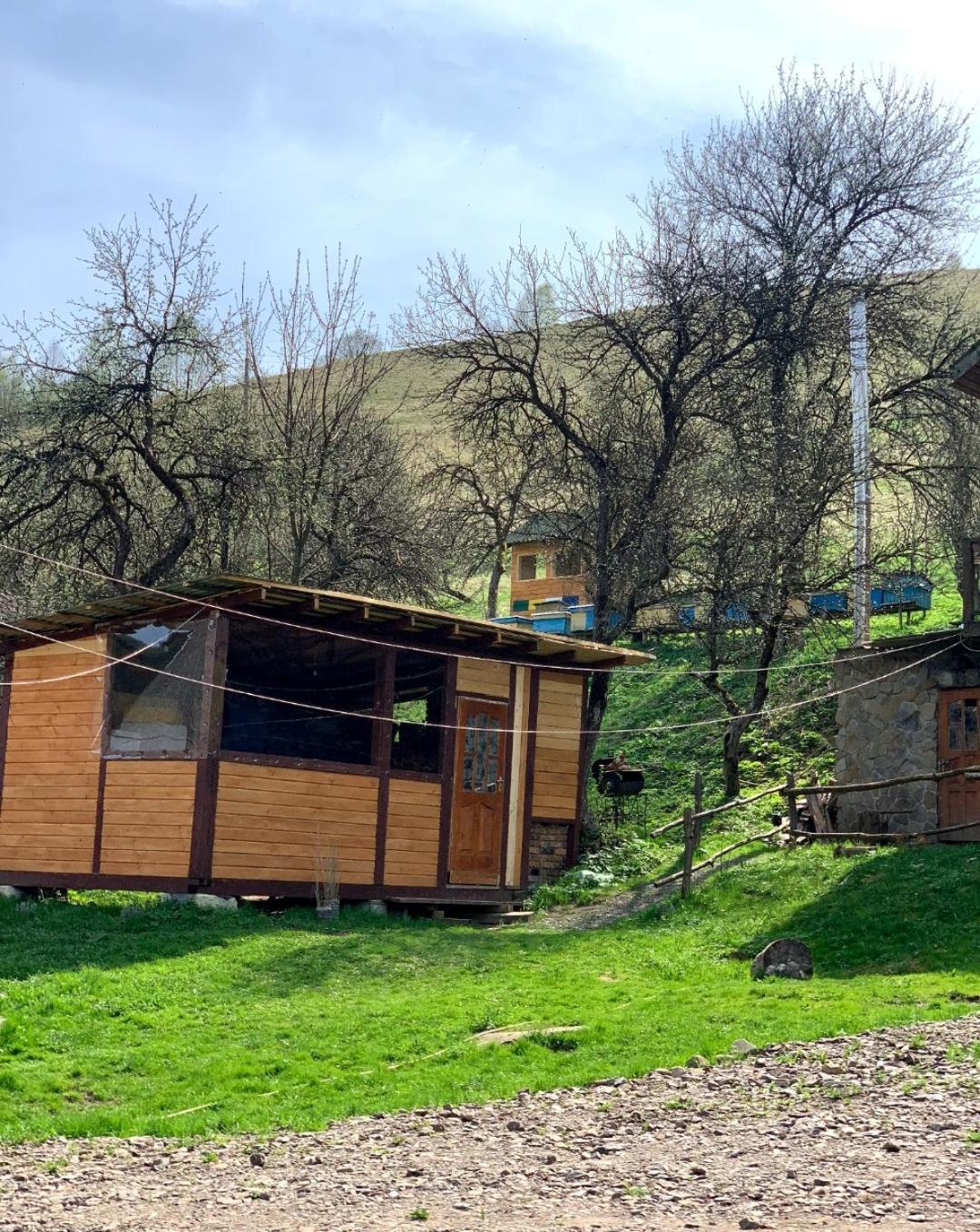 Smerekova Hata Oryavchyk Exterior photo